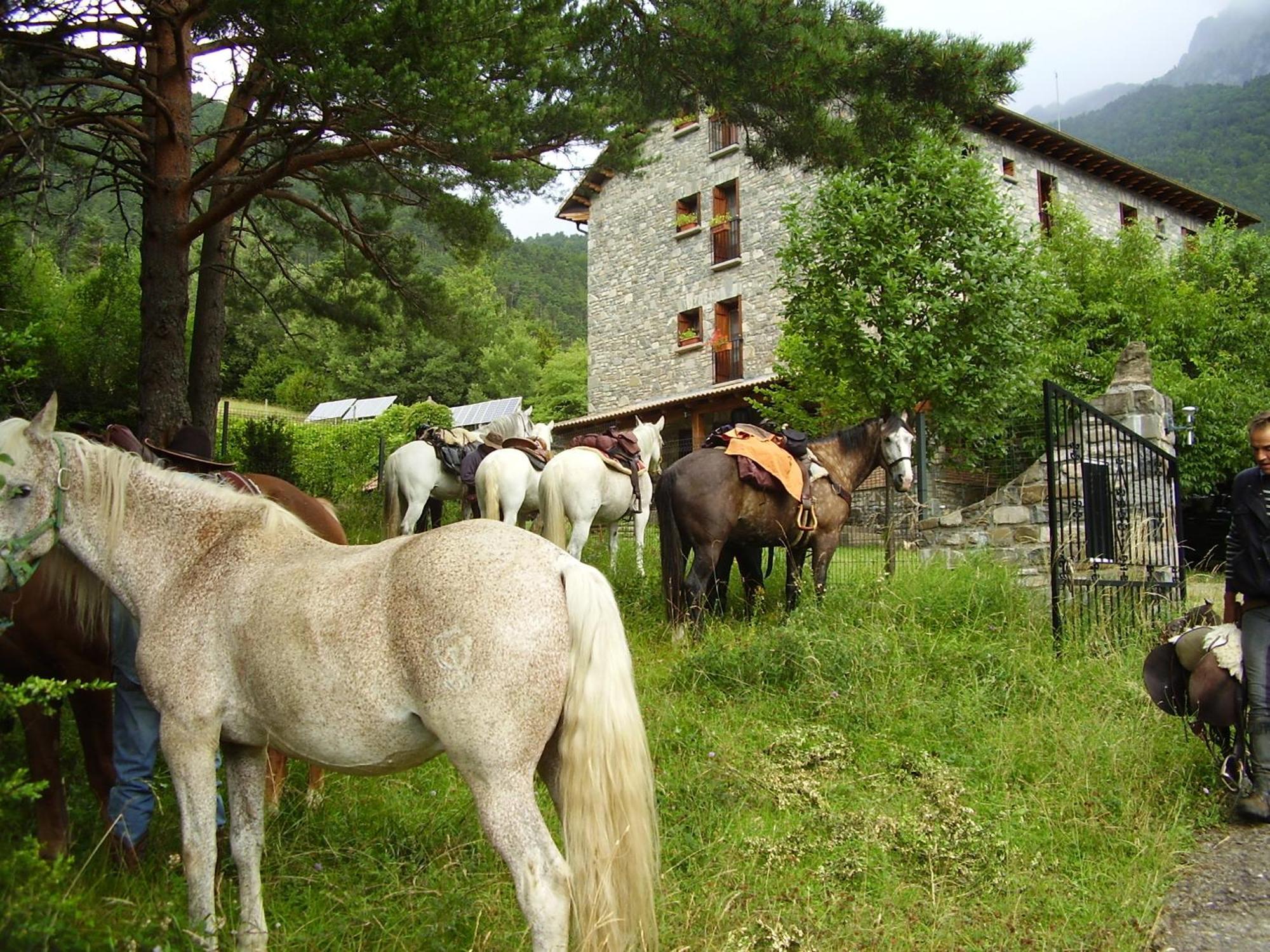 Hotel De Montana Uson エチョ エクステリア 写真